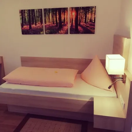 호텔 Buechelsteiner Hof 2*