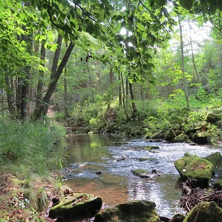 Buechelsteiner Hof מלון 2*